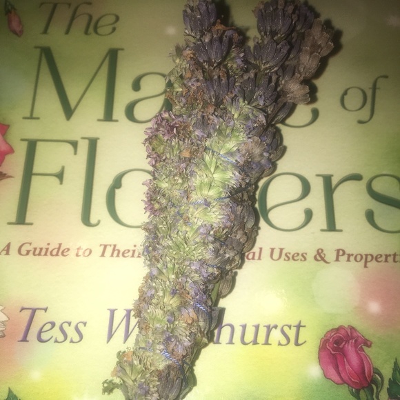 Strength and sweetness botanical wand handmade and handgrown organic herbs - Picture 3 of 5